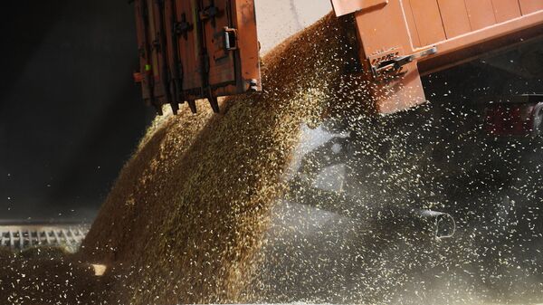 Um caminhão descarrega grãos no JSC Elevador Melitopol, Ucrânia - Sputnik Brasil