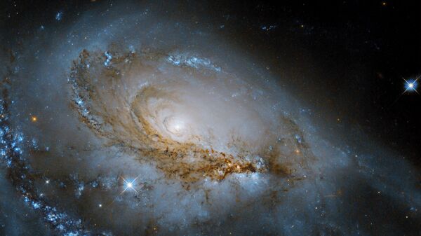 O Telescópio Espacial Hubble registrou o brilho azul de estrelas jovens se envolvendo nos braços espirais empoeirados em torno do centro brilhante da galáxia espiral NGC 1961 - Sputnik Brasil