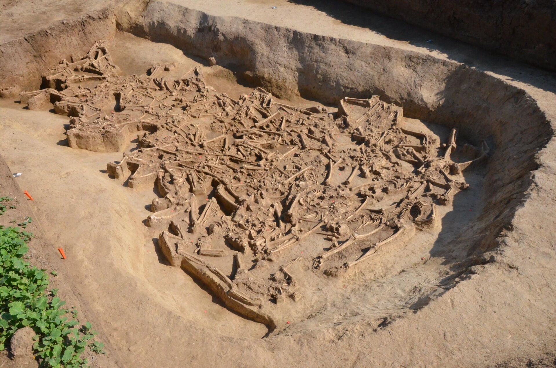 Uma equipe internacional de arqueólogos encontrou diversos esqueletos humanos decapitados, localizados em torno de um assentamento neolítico na Eslováquia - Sputnik Brasil, 1920, 25.09.2022