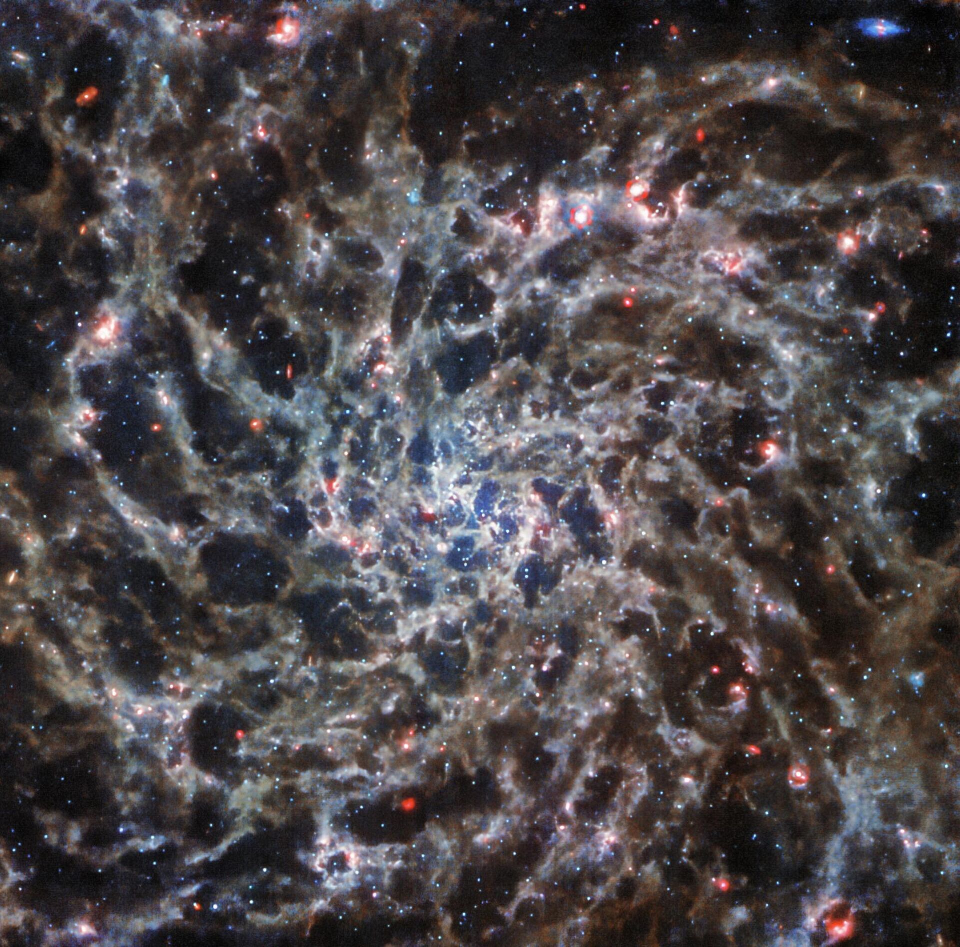 A estrutura da galáxia IC 5332, geralmente oculta sob a poeira cósmica, pôde ser observada com a ajuda do telescópio James Webb - Sputnik Brasil, 1920, 28.09.2022