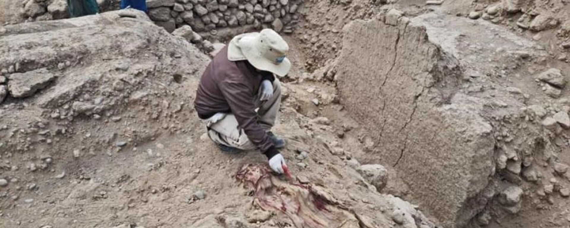 Múmia descoberta em Huaca Tres Palos, Parque das Lendas, Lima, Peru - Sputnik Brasil, 1920, 25.04.2023