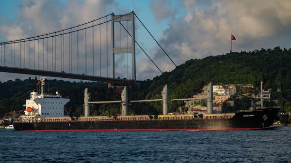 O navio graneleiro Navi Star, com bandeira do Panamá, transportando toneladas de grãos da Ucrânia navega ao longo do Estreito de Bósforo, passando por Istambul em 7 de agosto de 2022 - Sputnik Brasil