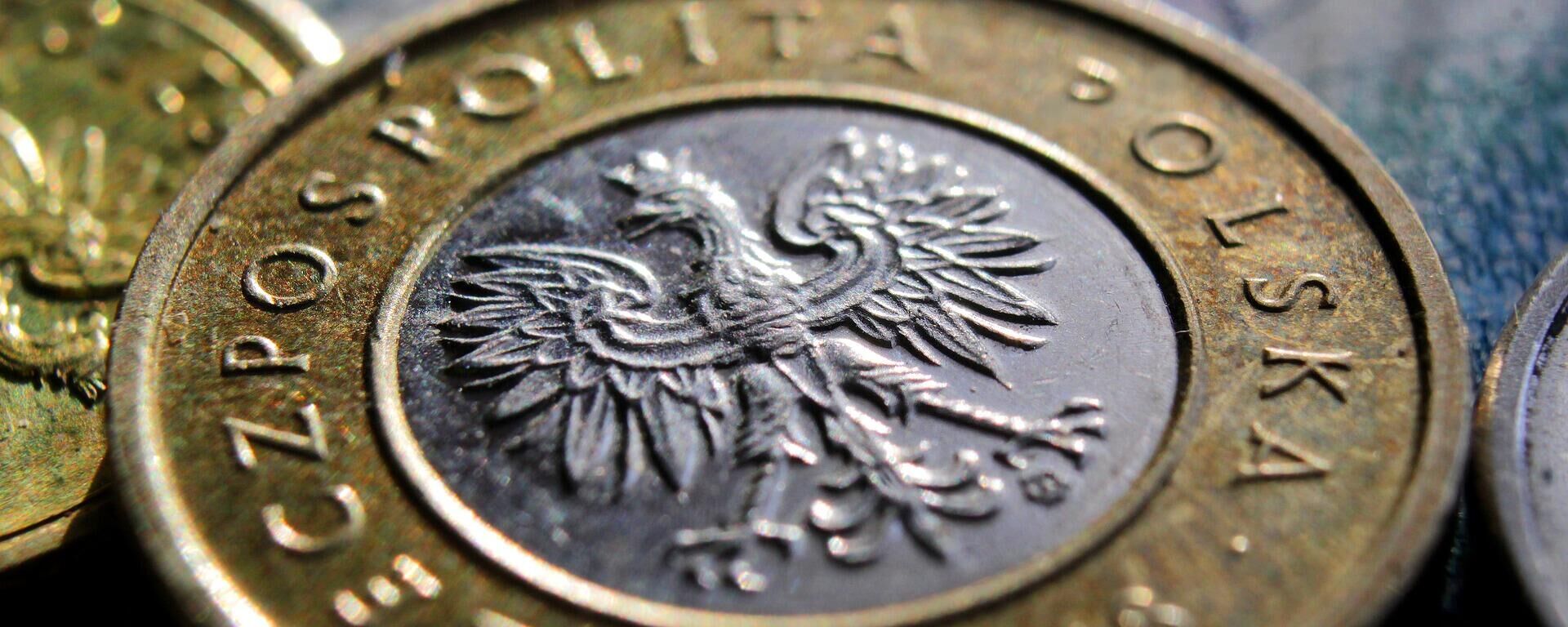 Zloty, moeda da Polônia (imagem de referência) - Sputnik Brasil, 1920, 28.10.2022