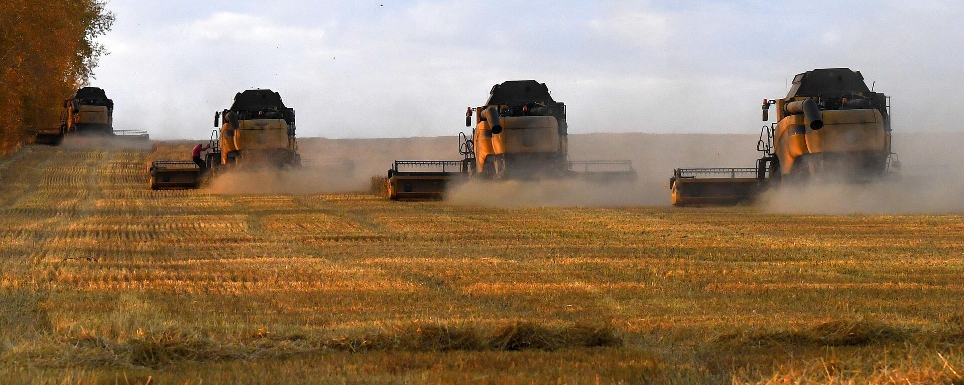 Trabalhadores agrícolas operam colheitadeiras nos campos da empresa Solgon durante a colheita de trigo fora da aldeia siberiana de Talniki, no distrito Uzhursky, na região de Krasnoyarsk, na Rússia - Sputnik Brasil, 1920, 24.04.2023