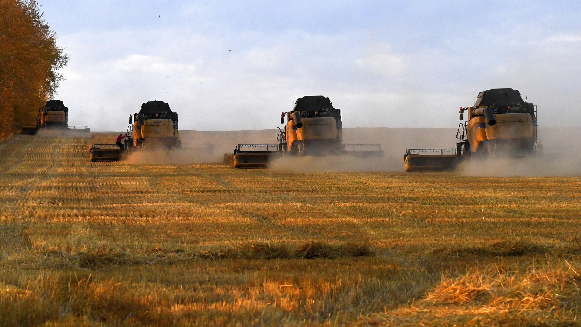 Trabalhadores agrícolas operam colheitadeiras nos campos da empresa Solgon durante a colheita de trigo fora da aldeia siberiana de Talniki, no distrito de Uzhursky, na região de Krasnoyarsk, na Rússia - Sputnik Brasil, 1920, 05.02.2024