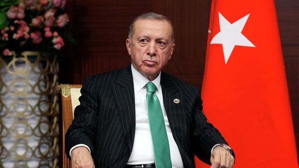 Recep Tayyip Erdogan, presidente da Turquia, ouve Vladimir Putin, seu homólogo da Rússia, em Astana, no Cazaquistão, em 13 de outubro de 2022 - Sputnik Brasil
