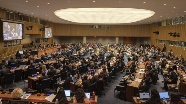 Membros do Conselho de Segurança participam de reunião do Comitê Especial de Política e Descolonização na sede da ONU, 11 de novembro de 2022 - Sputnik Brasil