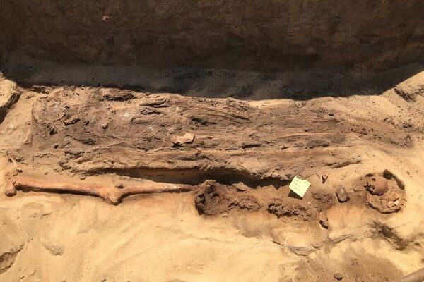 Escavações arqueológicas na necrópole de Qewaisna, no Egito
 - Sputnik Brasil
