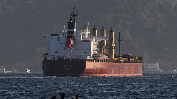 O navio de carga Zante que transporta grãos ucranianos, navega no Bósforo para o mar de Mármara, em Istambul, 2 de novembro de 2022 - Sputnik Brasil