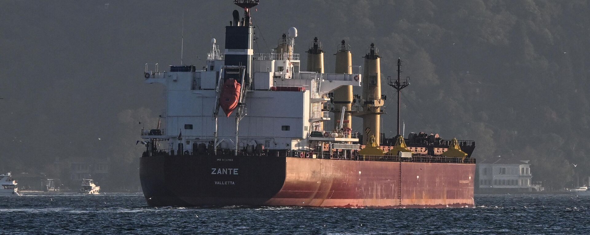 O navio de carga Zante que transporta grãos ucranianos, navega no Bósforo para o mar de Mármara, em Istambul, 2 de novembro de 2022 - Sputnik Brasil, 1920, 04.12.2022
