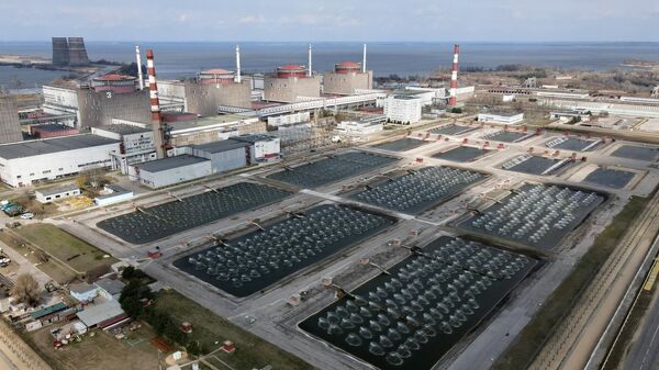 Piscinas de resfriamento da usina nuclear de Zaporozhie - Sputnik Brasil