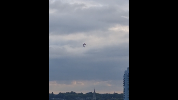 Captura de tela de um vídeo mostrando um OVNI avistado no sul de Londres, 12 de outubro de 2021 - Sputnik Brasil