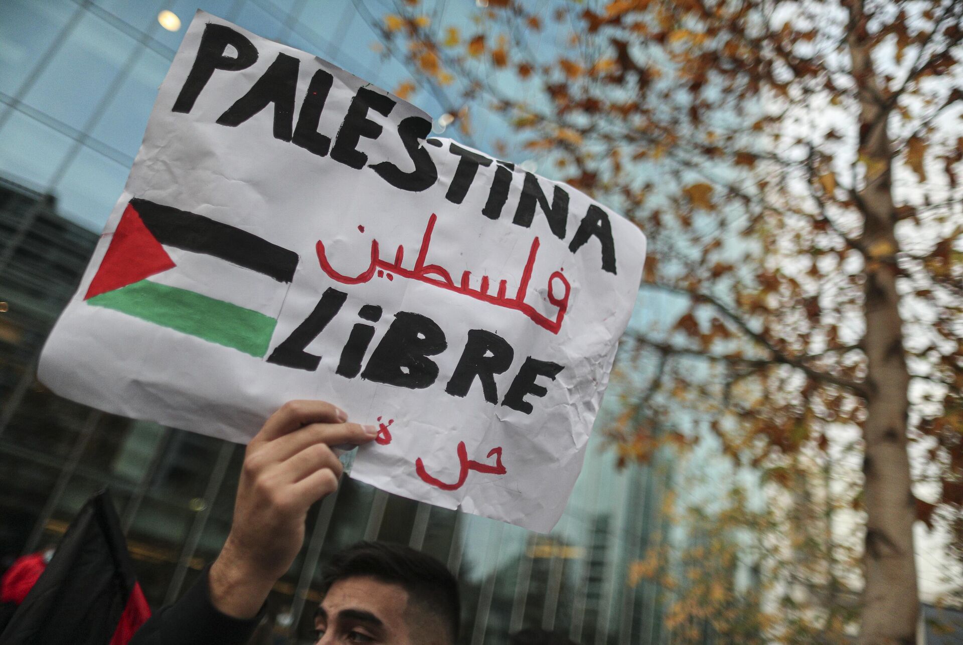 Um membro da comunidade palestina no Chile segura uma placa que diz em espanhol Palestina Livre durante uma manifestação de protesto contra Israel e em apoio aos palestinos, em frente à embaixada de Israel em Santiago, Chile, 19 de maio de 2021 - Sputnik Brasil, 1920, 22.12.2022