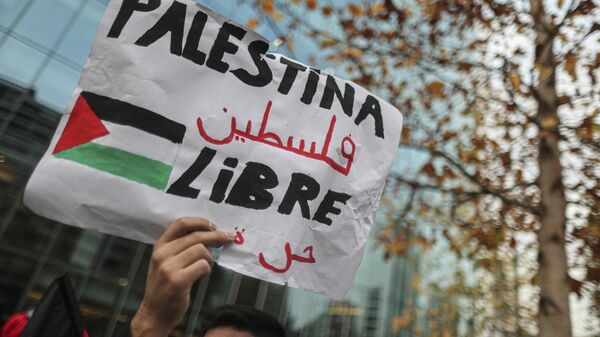 Um membro da comunidade palestina no Chile segura uma placa que diz em espanhol Palestina Livre durante uma manifestação de protesto contra Israel e em apoio aos palestinos, em frente à embaixada de Israel em Santiago, Chile, 19 de maio de 2021 - Sputnik Brasil