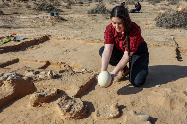 Arqueólogo mostra para comparação um ovo de avestruz novo ao lado de fragmentos de um ovo de mais de 4.000 anos
 - Sputnik Brasil
