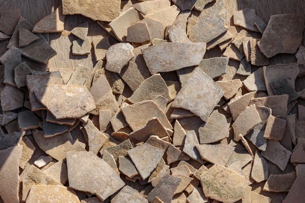 Fragmentos de ovos de mais de 4.000 anos, encontrados em uma localidade nas dunas perto de Nitzana, ao longo da fronteira israelo-egípcia no deserto ocidental de Negev - Sputnik Brasil
