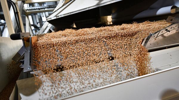 Linha de processamento de grãos em Ekaterinburgo. Rússia, 13 de dezembro de 2022 - Sputnik Brasil