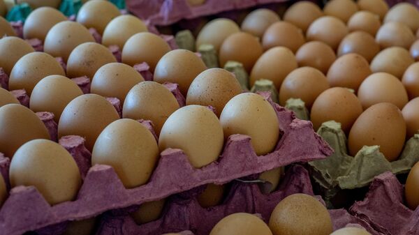 Ovos de galinha em caixas de papelão para venda em mercado. Brasil, 22 de março de 2022 - Sputnik Brasil