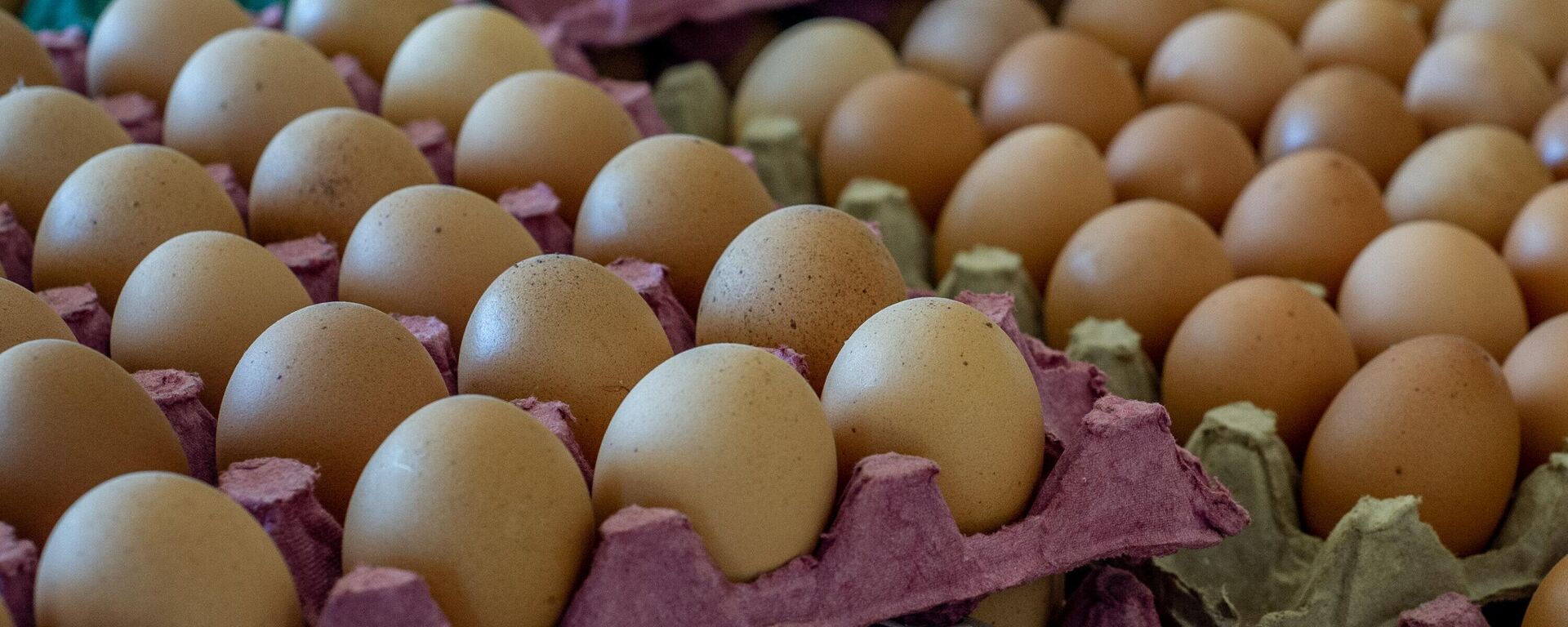 Ovos de galinha em caixas de papelão para venda em mercado. Brasil, 22 de março de 2022 - Sputnik Brasil, 1920, 15.03.2024