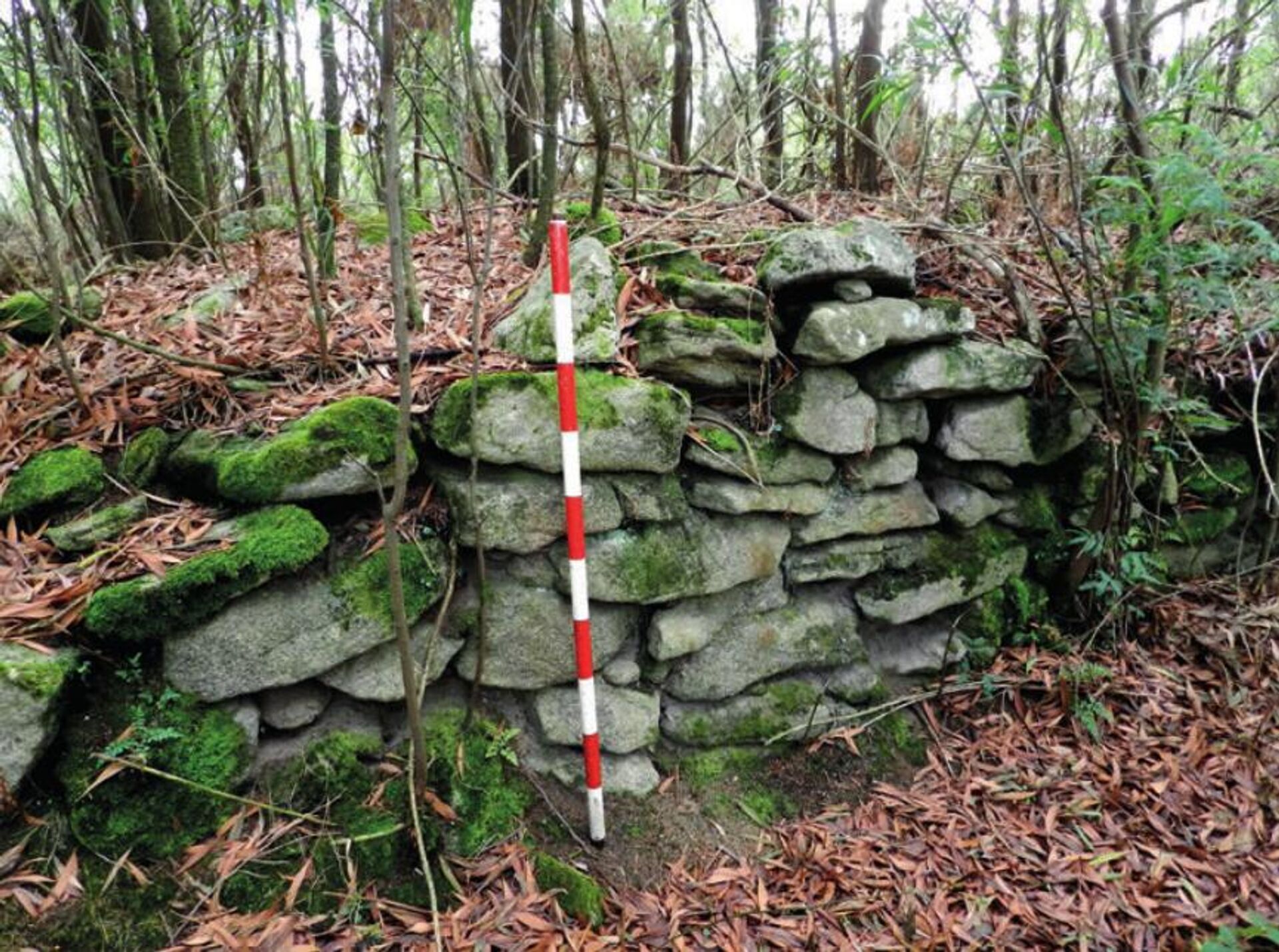 Ruínas de fortaleza medieval do século V são encontradas em bosque na Espanha - Sputnik Brasil, 1920, 12.02.2023