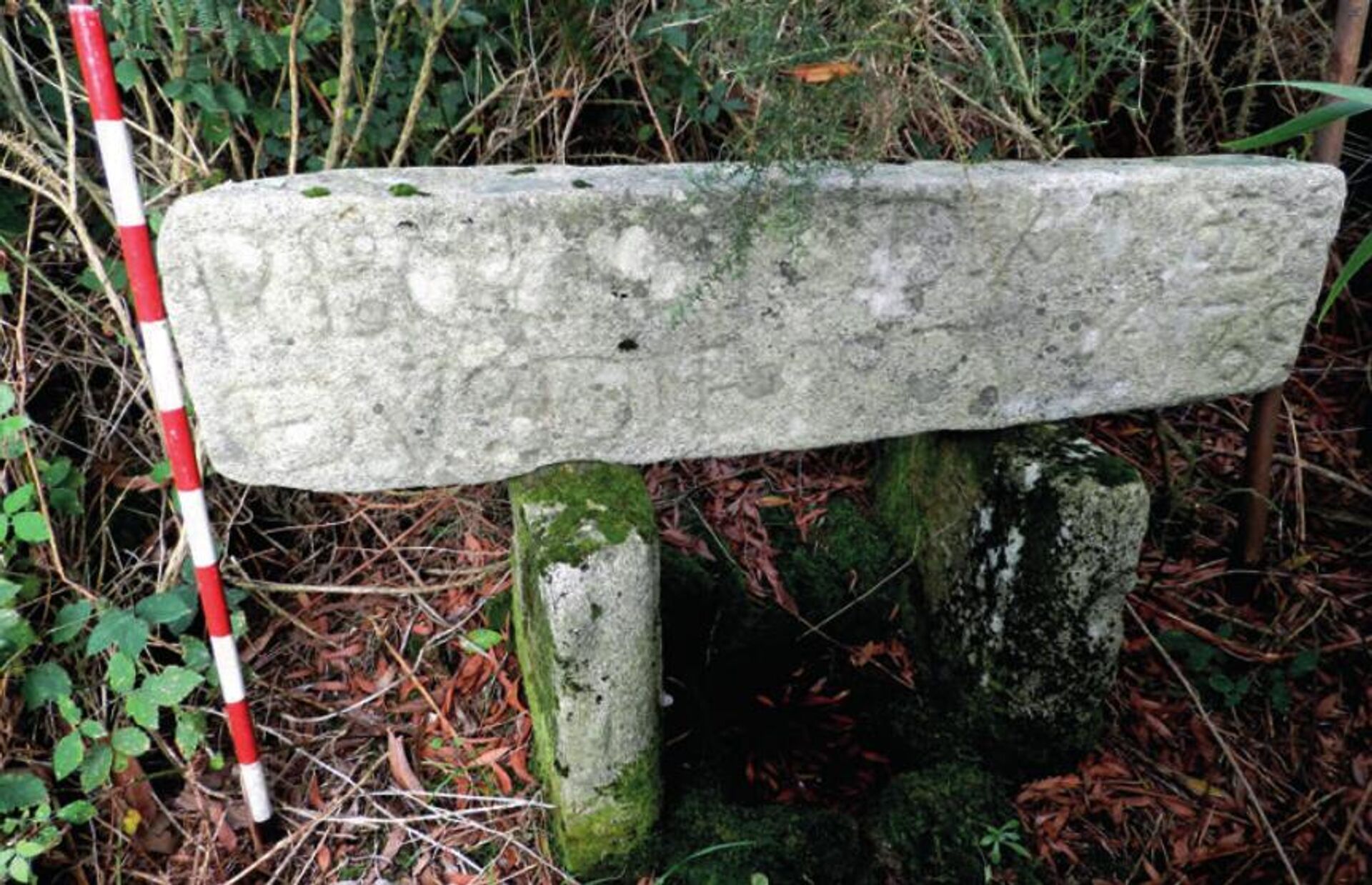 Ruínas de fortaleza medieval do século V são encontradas em bosque na Espanha - Sputnik Brasil, 1920, 12.02.2023