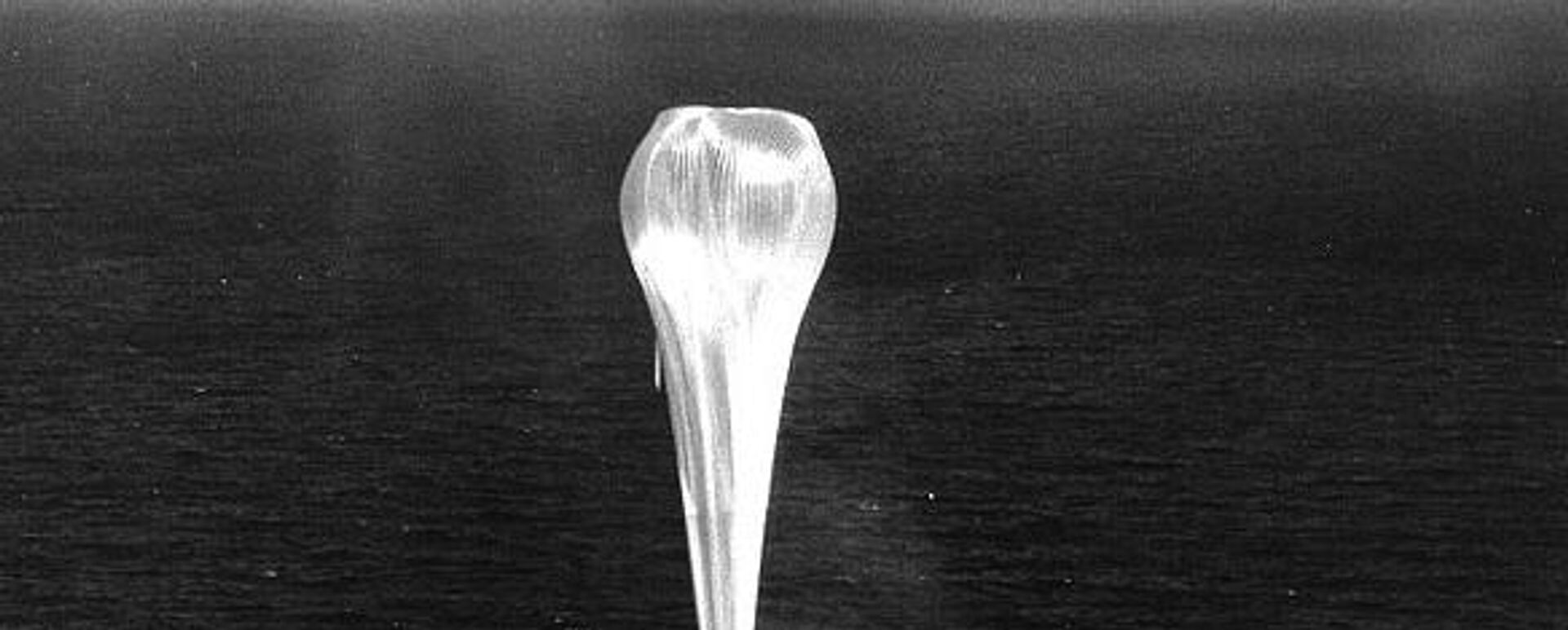 Um balão espião do projeto Genetrix é lançado do porta-aviões USS Valley Forge, 1956 - Sputnik Brasil, 1920, 03.04.2023