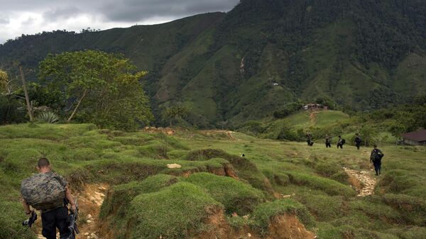 Сaminhada para acampamento escondido no estado de Antioquia, no noroeste dos Andes da Colômbia - Sputnik Brasil