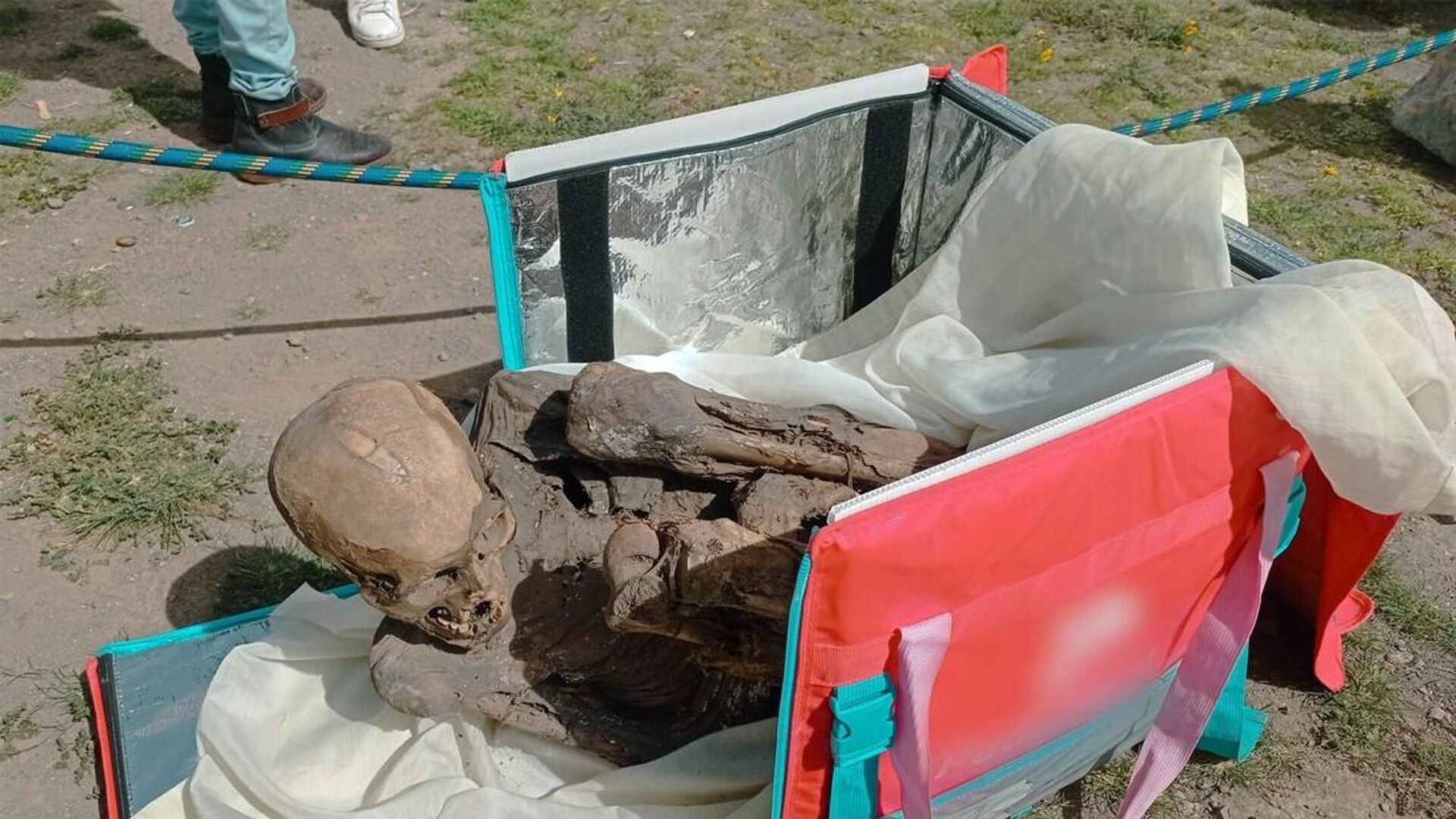 Múmia pré-hispânica é encontrada por agentes do Grupo Terna da Polícia Nacional do Peru na bolsa térmica de um entregador de alimentos na cidade de Puno, 25 de fevereiro de 2023 - Sputnik Brasil, 1920, 28.02.2023