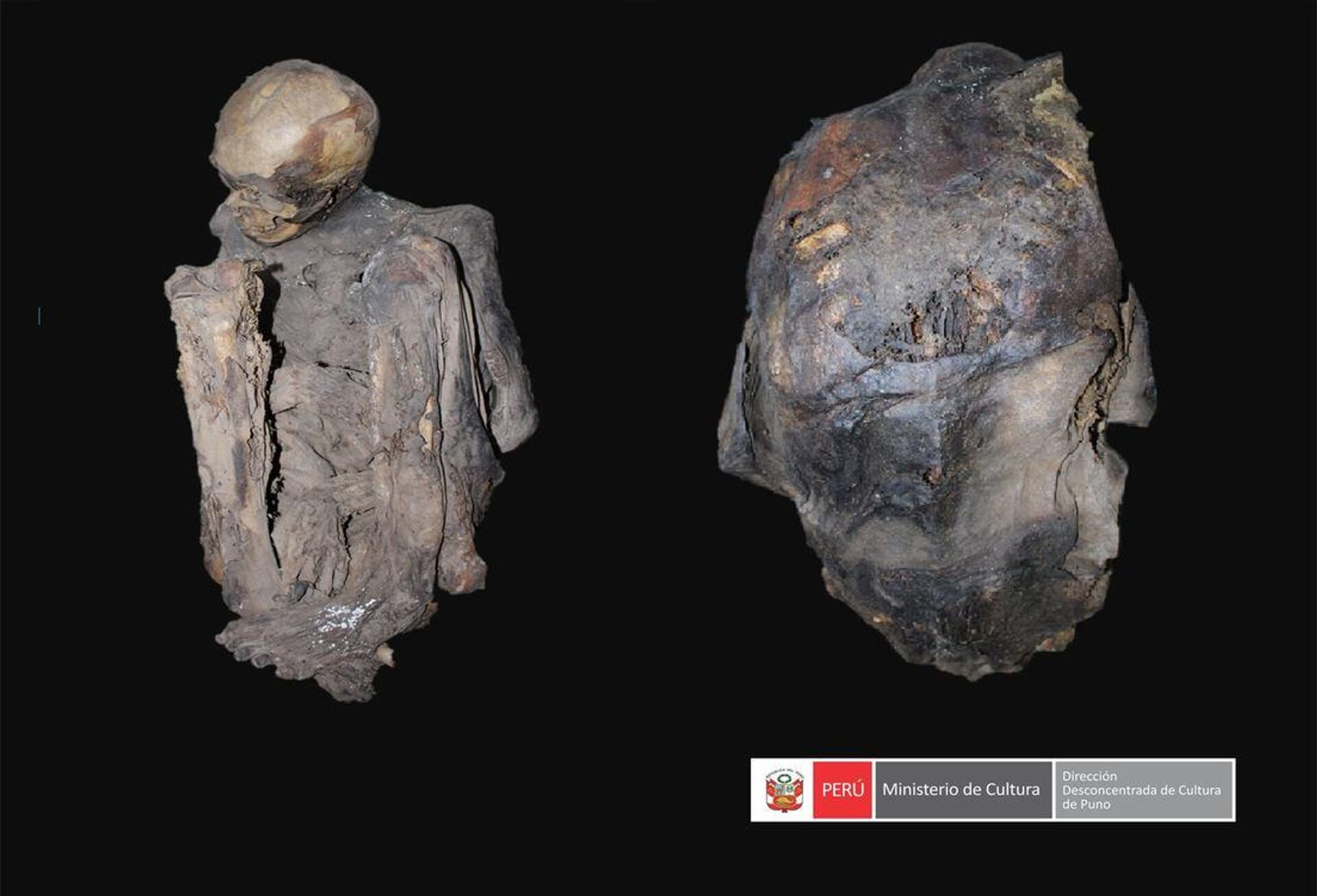 Múmia pré-hispânica é encontrada por agentes do Grupo Terna da Polícia Nacional do Peru na bolsa térmica de um entregador de alimentos na cidade de Puno, 25 de fevereiro de 2023 - Sputnik Brasil, 1920, 28.02.2023