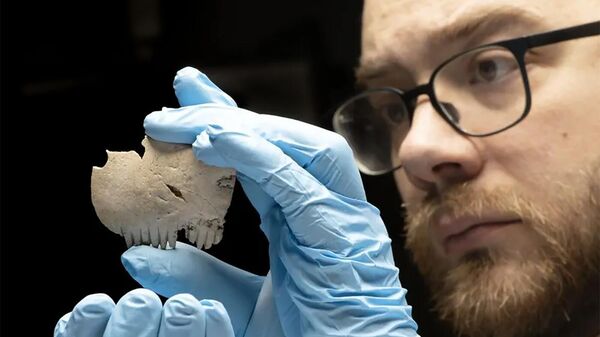 Um pente da Idade do Ferro feito de crânio humano foi encontrado na vila de Bar Hill, perto de Cambridge, no Reino Unido - Sputnik Brasil