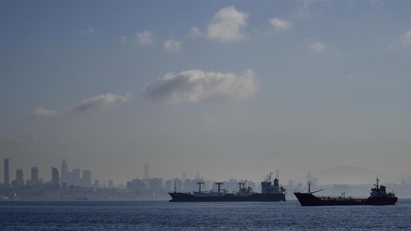 Navios de carga esperam ancorados no mar de Mármara, antes de atravessar o estreito de Bósforo em Istambul, Turquia, 1º de novembro de 2022 - Sputnik Brasil