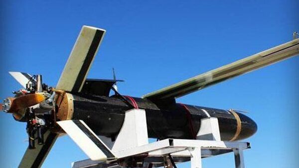 Drone suicida Meraj-532 desenvolvido pelo Irã de perto - Sputnik Brasil