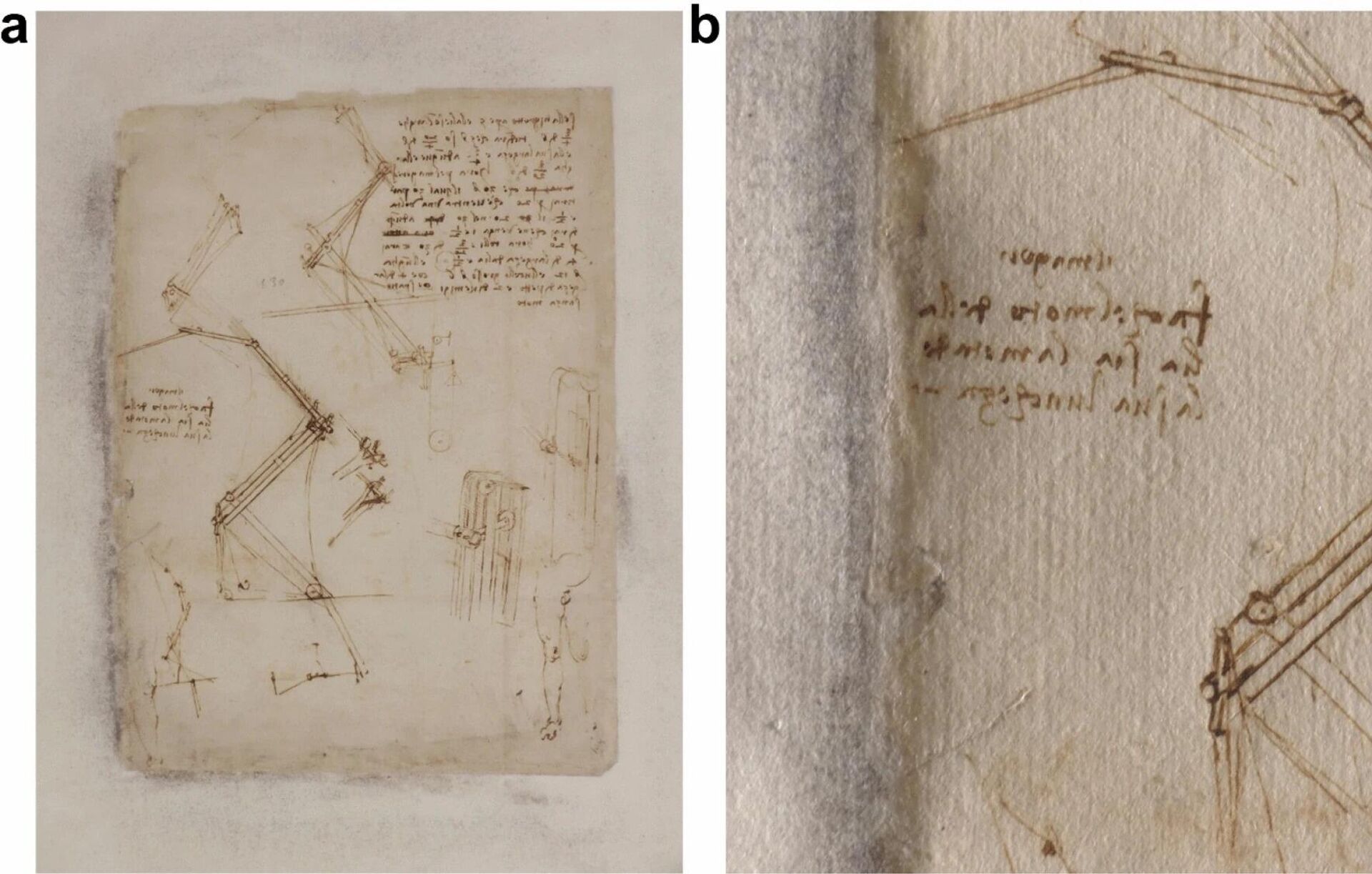 O Codex Atlanticus tem 12 volumes que contêm 1.119 folhas. As pequenas manchas foram notadas em cerca de 210 páginas, originando os estudos para compreender o que estava acontecendo - Sputnik Brasil, 1920, 19.04.2023