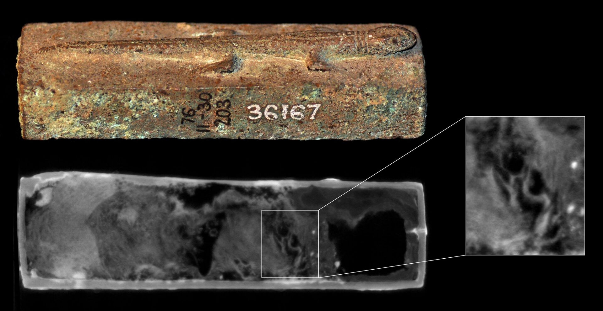 Uma equipe de cientistas, utilizando a tomografia de nêutrons, desvendou os segredos dos caixões de animais selados do Egito Antigo - Sputnik Brasil, 1920, 24.04.2023