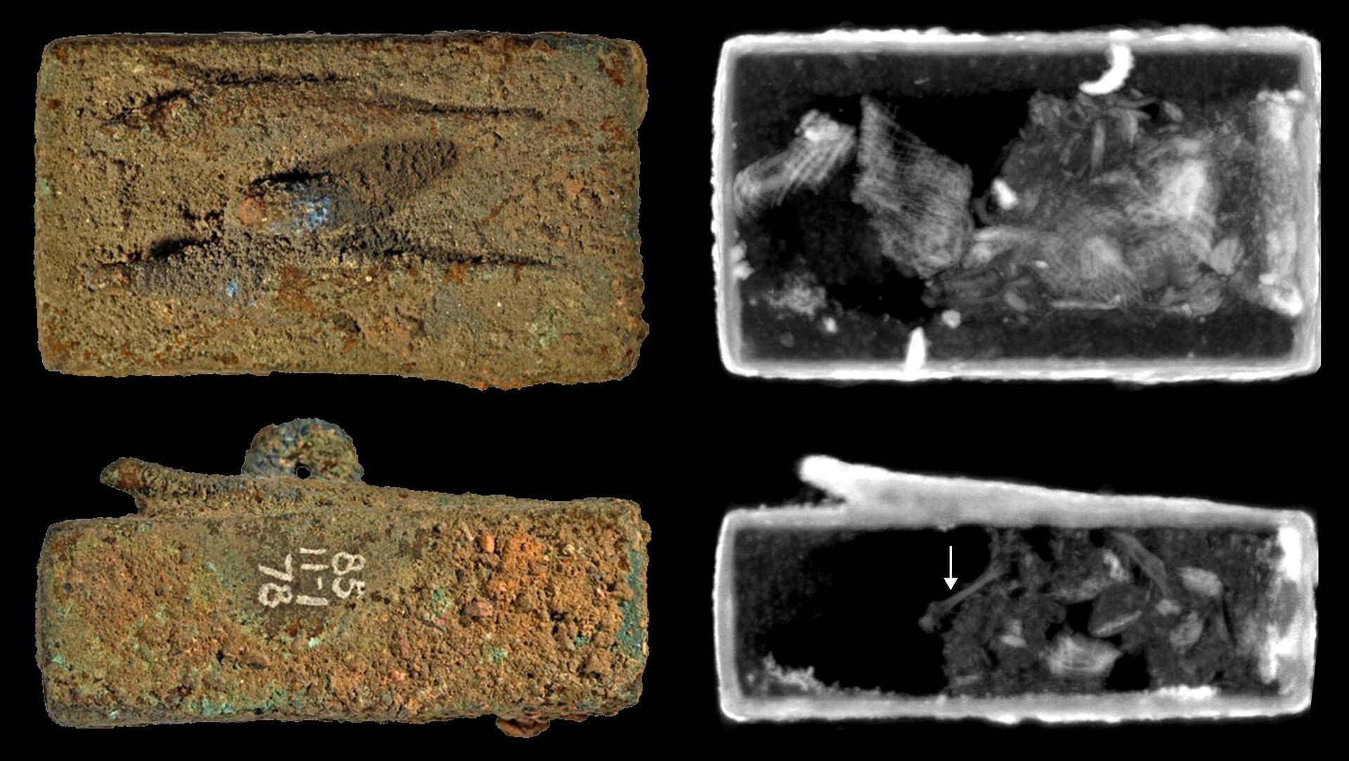 Uma equipe de cientistas, utilizando a tomografia de nêutrons, desvendou os segredos dos caixões de animais selados do Egito Antigo - Sputnik Brasil, 1920, 24.04.2023