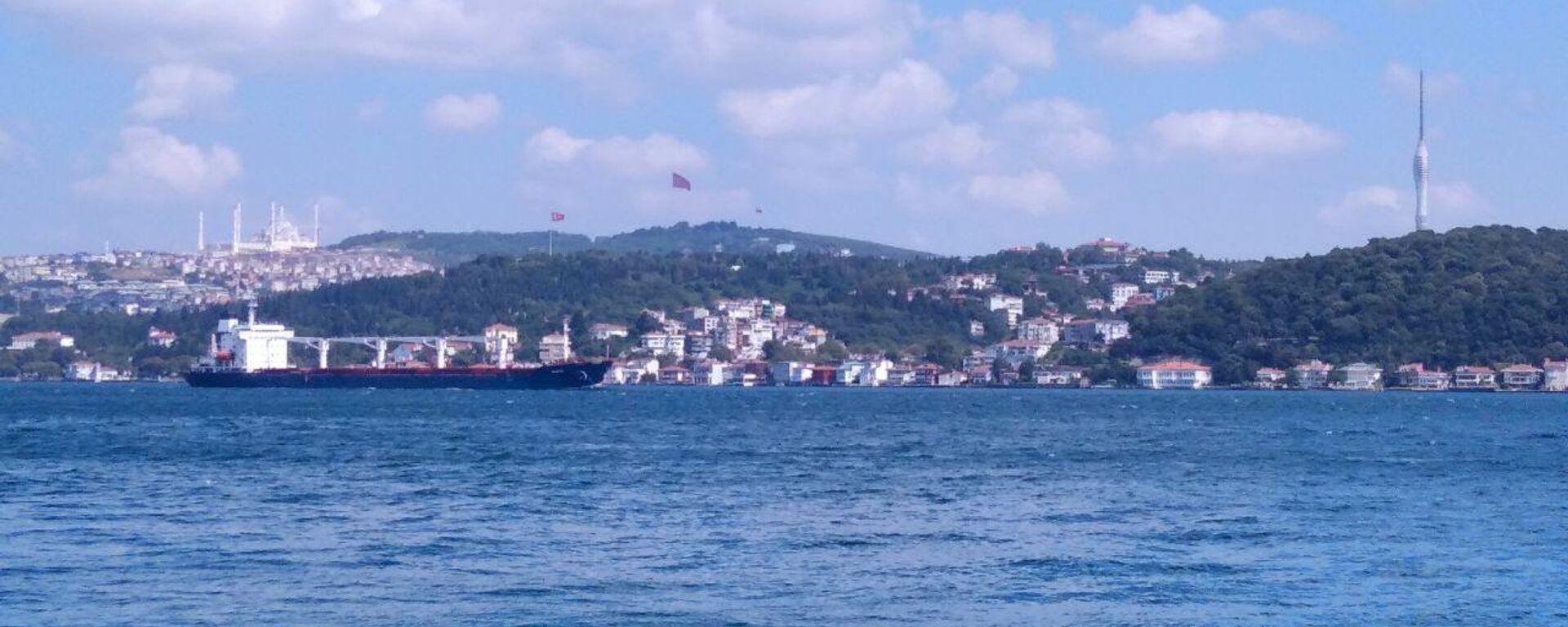O primeiro navio comercial que deixou a Ucrânia sob o acordo de grãos do Mar Negro foi inspecionado em Istambul e liberado para seguir para o Líbano, disse o Centro de Coordenação Conjunta (JCC), 03 de agosto de 2022 - Sputnik Brasil, 1920, 26.04.2023
