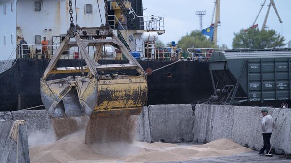 Trabalhadores carregam grãos em um porto de grãos em Izmail, Ucrânia, 26 de abril de 2023 - Sputnik Brasil