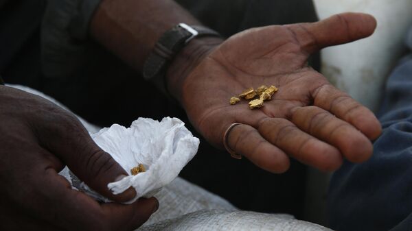 Um garimpeiro mostra ouro que extraiu ilegalmente ao deixar o território indígena Yanomami antes das operações esperadas contra o garimpo ilegal em Alto Alegre, estado de Roraima, Brasil, 7 de fevereiro de 2023 - Sputnik Brasil