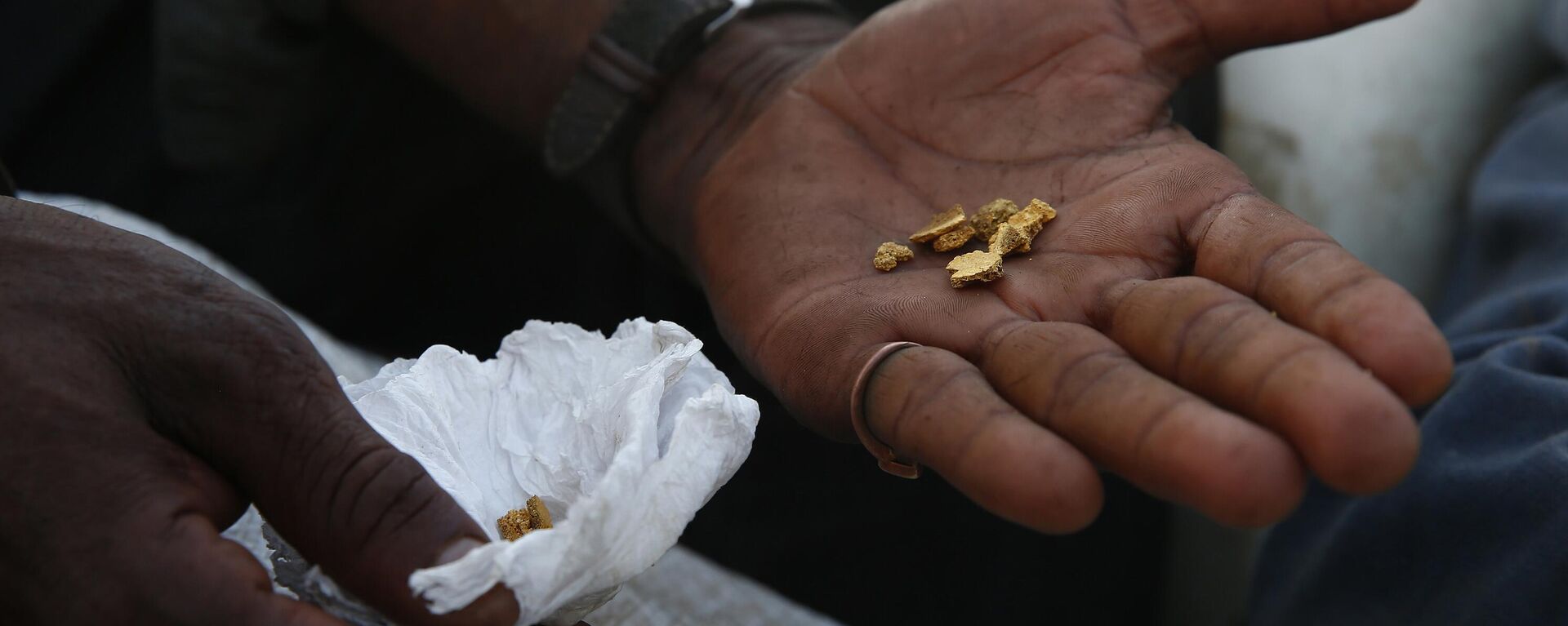 Um garimpeiro mostra ouro que extraiu ilegalmente ao deixar o território indígena Yanomami antes das operações esperadas contra o garimpo ilegal em Alto Alegre, estado de Roraima, Brasil, 7 de fevereiro de 2023 - Sputnik Brasil, 1920, 22.11.2023