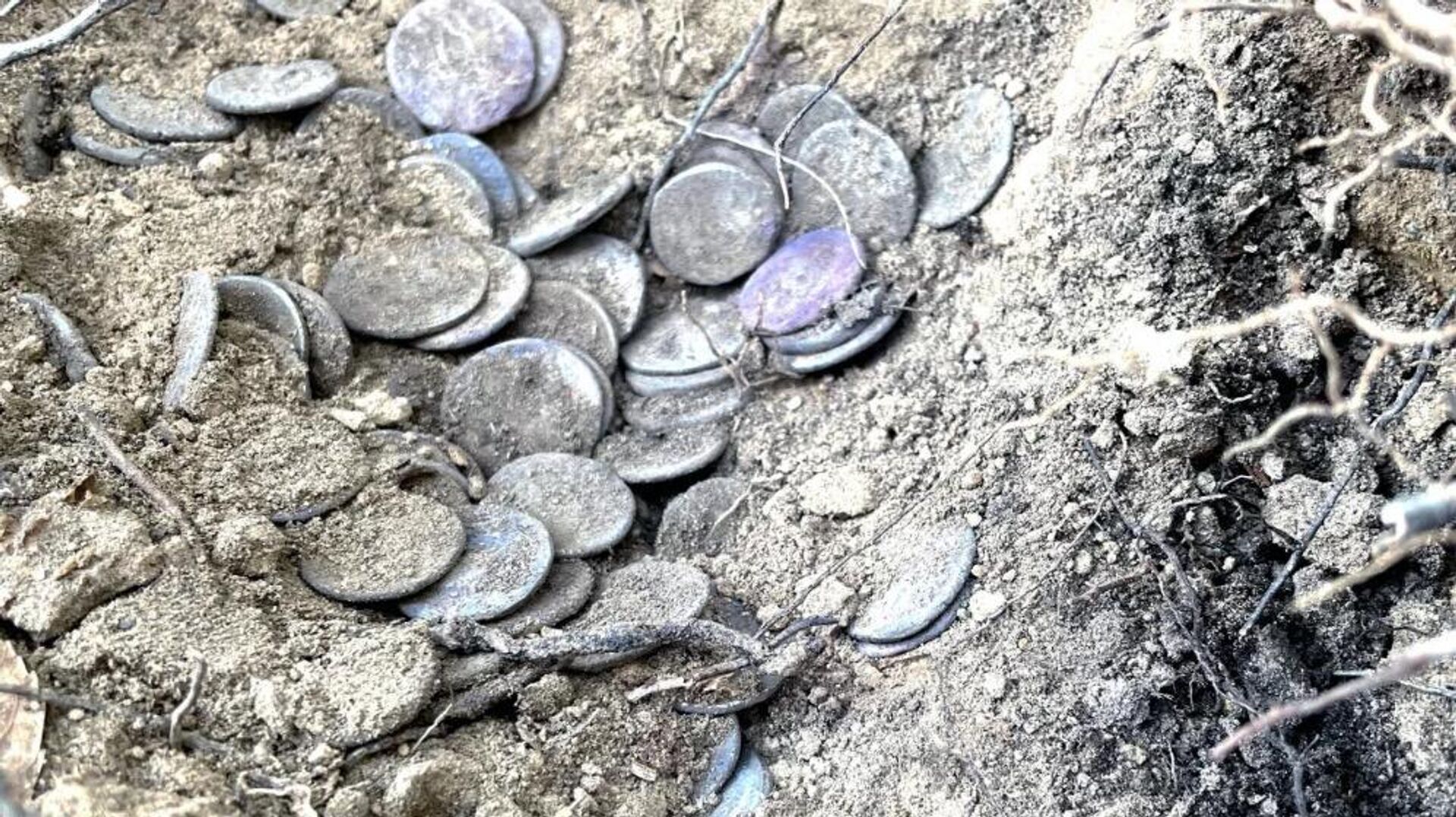 Após análises, concluídas recentemente, os especialistas descobriram que o tesouro era composto por 175 denários romanos de prata - Sputnik Brasil, 1920, 02.05.2023