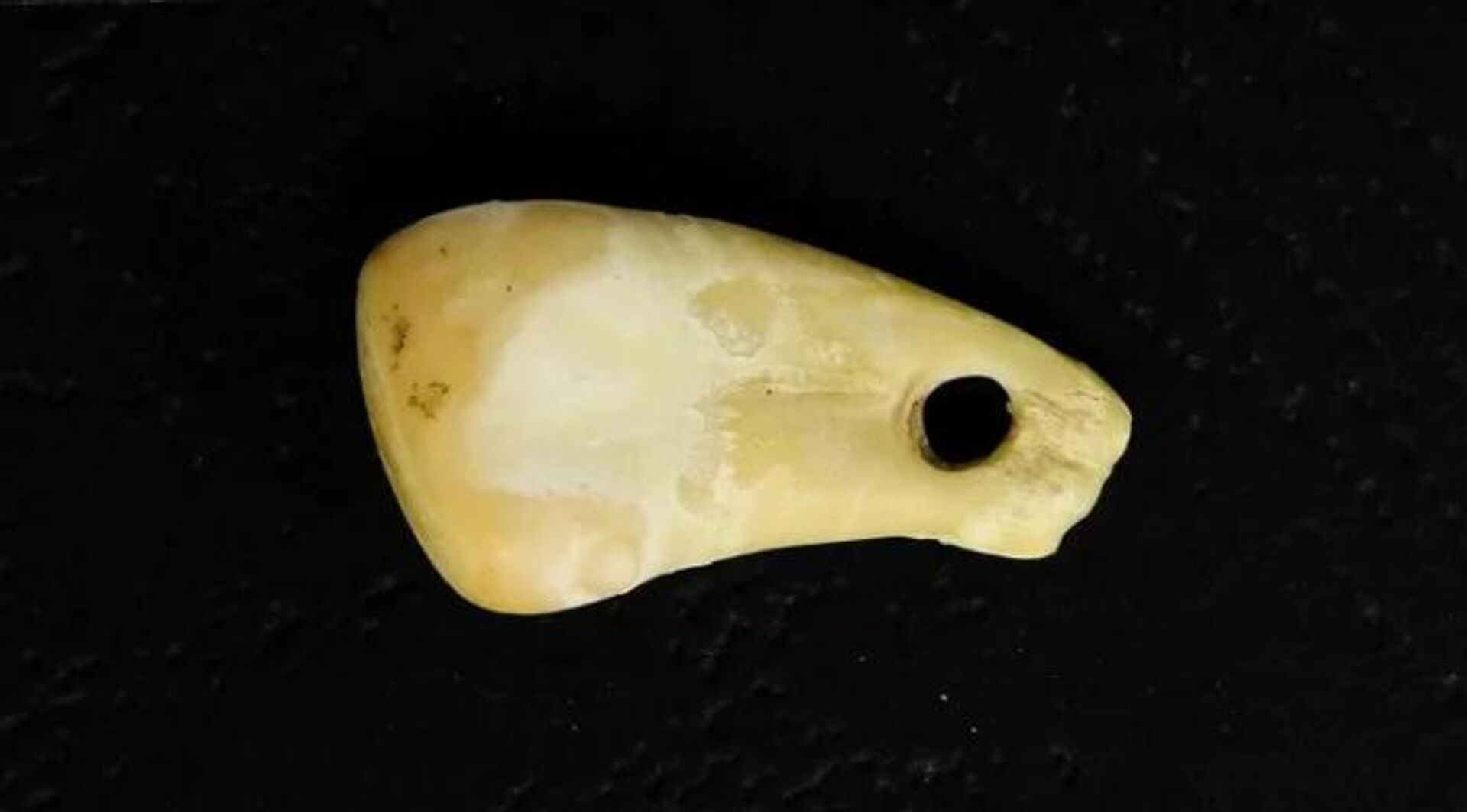 Pingente feito de um dente de veado, cerca de 20.000 anos de idade - Sputnik Brasil, 1920, 04.05.2023