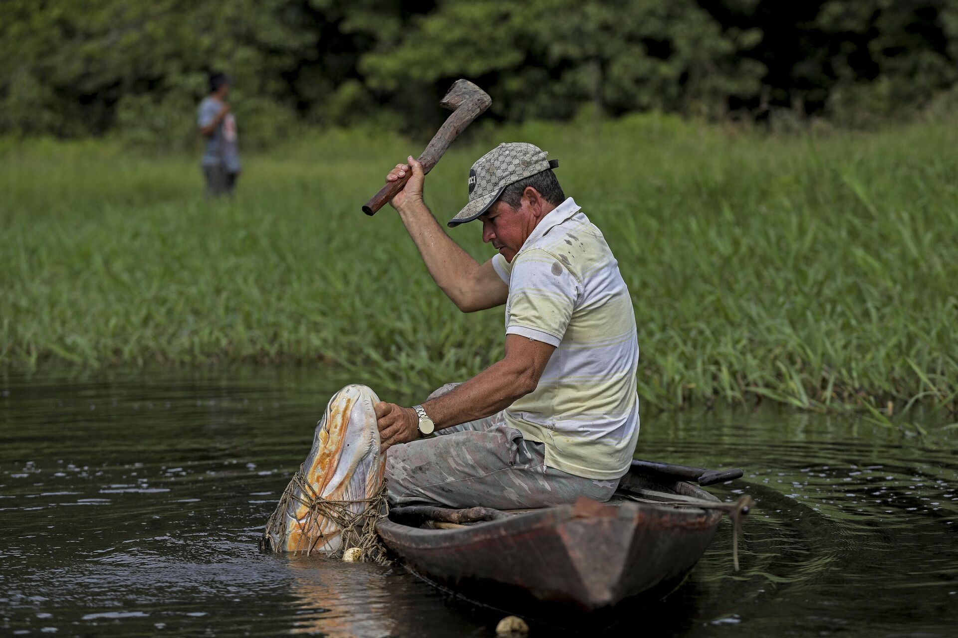 Um pescador captura um Pirarucu em Fonte Boa, estado do Amazonas, Brasil, em 5 de novembro de 2022 - Sputnik Brasil, 1920, 04.05.2023