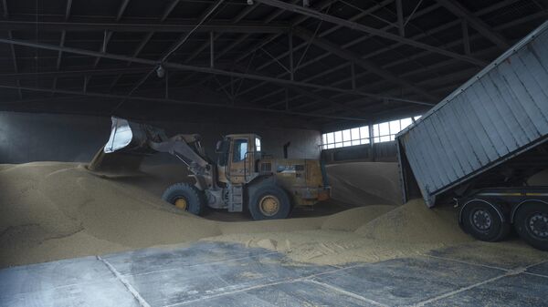 Um caminhão descarrega grãos no porto de grãos em Izmail, Ucrânia, 26 de abril de 2023. - Sputnik Brasil