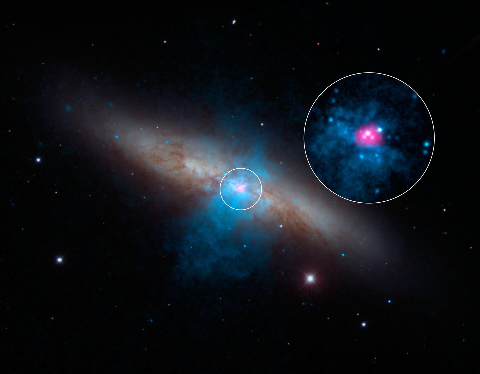 Raios-X de alta energia transmitidos por um raro e poderoso pulsar (magenta), o mais brilhante encontrado até hoje, podem ser vistos nesta nova imagem que combina dados de vários comprimentos de onda de três telescópios. A maior parte de uma galáxia chamada Messier 82 (M82), ou a galáxia do charuto, é vista em dados de luz visível capturados pelo telescópio de 2,1 metros do National Optical Astronomy Observatory em Kitt Peak, no Arizona. A luz das estrelas é branca e as faixas de poeira parecem marrons. Os dados de raios-X de baixa energia do Observatório de raios-X Chandra da NASA são coloridos em azul e os dados de raios-X de alta energia do NuSTAR são rosa - Sputnik Brasil, 1920, 11.05.2023