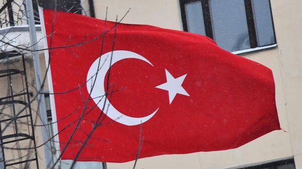 Bandeira turca - Sputnik Brasil