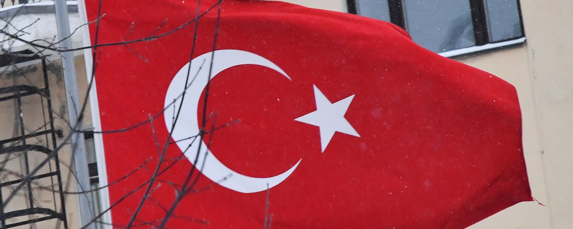 Bandeira turca - Sputnik Brasil, 1920, 31.12.2023