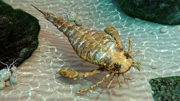 Fóssil de escorpião-marinho feroz de 450 milhões de anos é encontrado na China - Sputnik Brasil