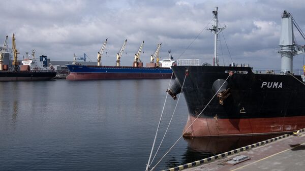 Navios graneleiros ARGO I (à esquerda) e Lucent (no centro) e Puma (à direita) atracados no terminal de grãos do porto de Odessa, Ucrânia, 10 de abril de 2023 - Sputnik Brasil