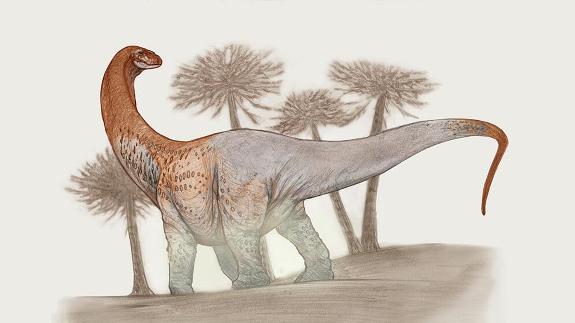 Fósseis de primeiro dinossauro gigante são descobertos