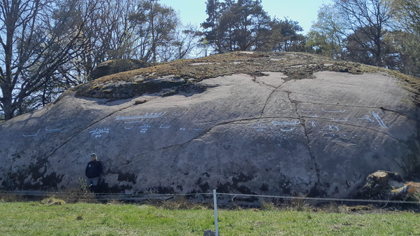 Pinturas rupestres encontradas na Suécia - Sputnik Brasil